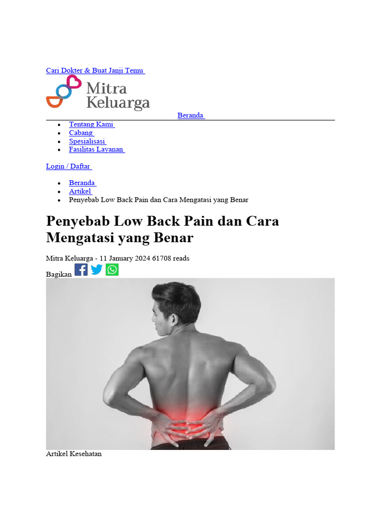 Low Back Pain | PDF