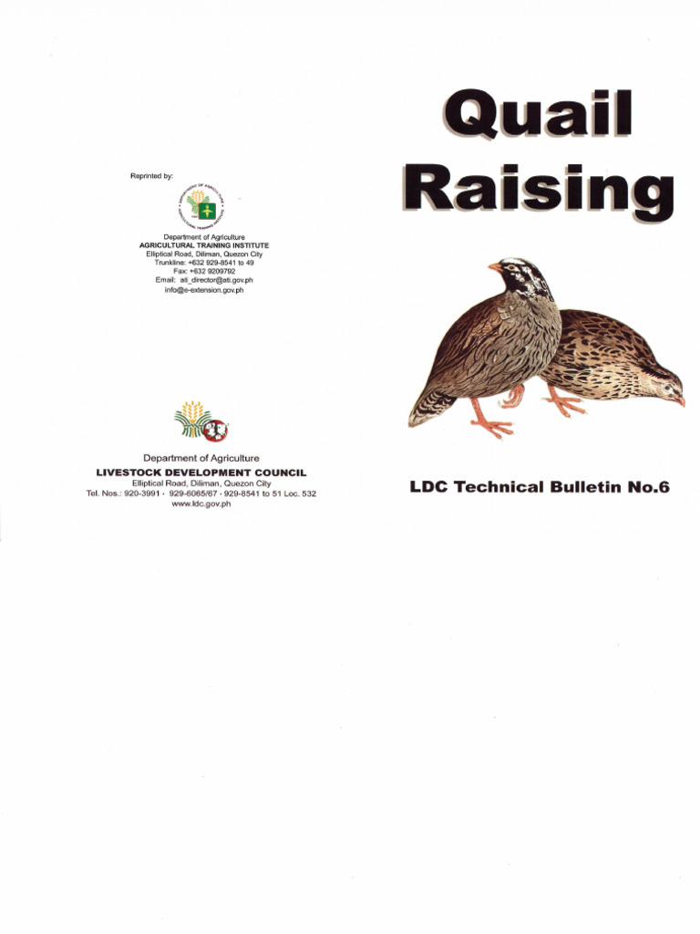 View of Quail Raising | PDF