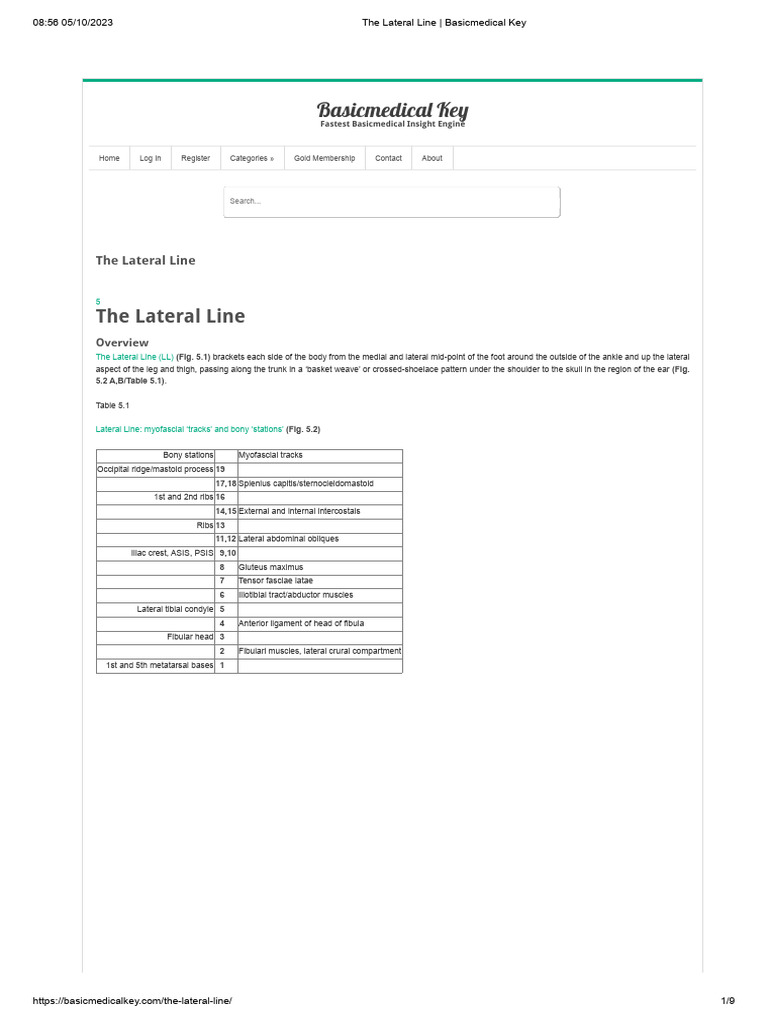 05 The Lateral Line - Basicmedical Key | PDF | Foot | Human Leg