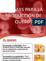 Enzimas para La Producción de Queso - A3