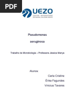 Download Pseudomonas aeruginosa by Vinicius Tavares SN73653027 doc pdf