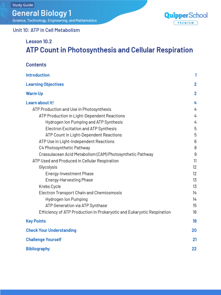 ATP Production in Respiration & Photosynthesis | PDF | Cellular ...