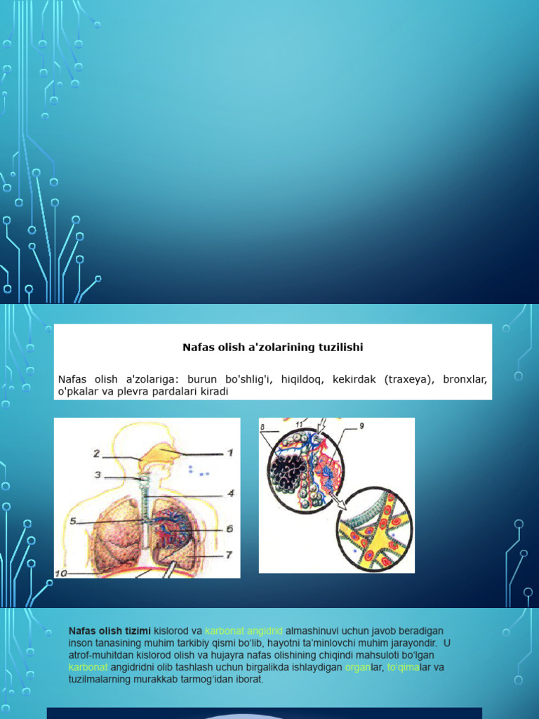 Kievda tunda jinsiy aloqa