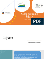 Curso injerto Deputación