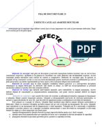 Fișă de Documentare - 13 - TIPURI DE DFECTE - CAUZELE APARITIEI LOR