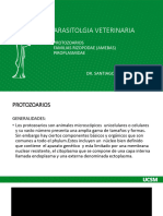 IIF Parasitología