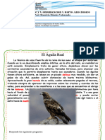 Guía 5 - El Águila Real