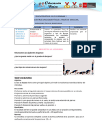 Educación Física Ciclo Vii Semana 3