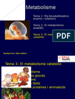 Catabolisme Educa Health (1)