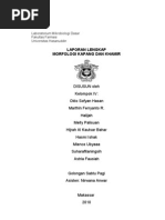 Download Laboratorium Mikrobiologi Dasar Mopang Kel4 Mikro Pagi by Hijrah Al Kautsar B SN73660478 doc pdf