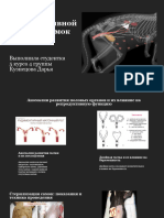 Патология репредуктивной системы самок Кузнецова Д.А.