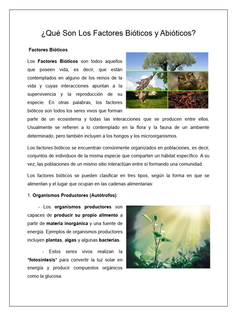 Qué Son Los Factores Bióticos y Abióticos | PDF | Organismos | Ecosistema