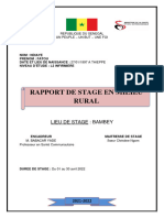 Rapport Fatou Ndiaye