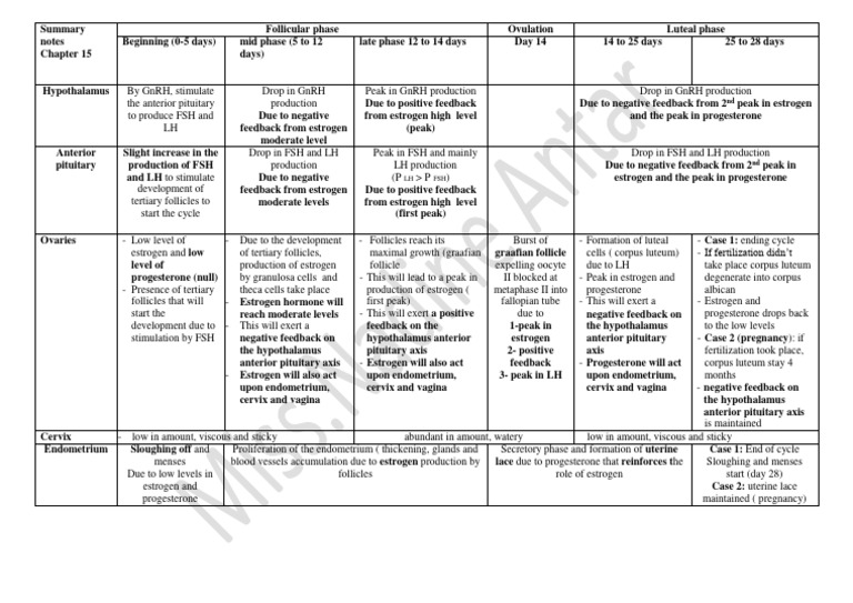 Menstrual Cycle Phases Explained | PDF | Luteinizing Hormone ...