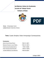 Cuadro Sinoptico Antropología