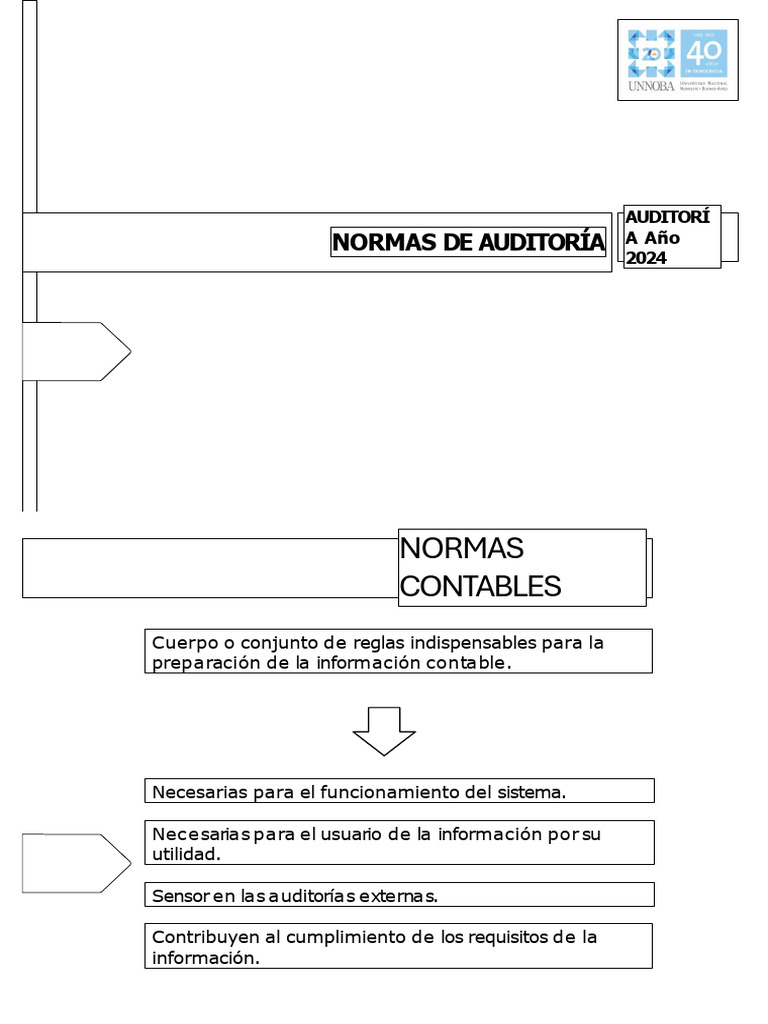 Normas de Auditoría y Contabilidad 2024 | PDF | Contabilidad | Auditoría