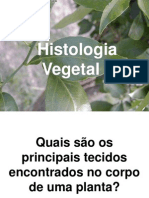 1.Histologia Vegetal -201-2