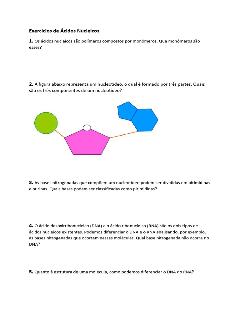 Exercícios sobre Ácidos Nucleicos | PDF