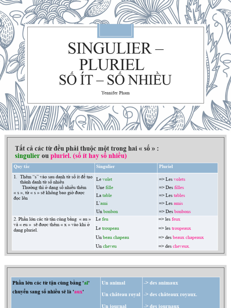 Règles du singulier et pluriel en français | PDF