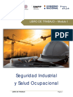 Manual SISO - Modulo I - Capitulo 7 NormativaS