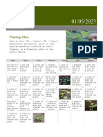 Calendar of Planting Okra
