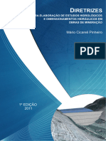 Diretrizes Cicareli Pinheiro, 2011