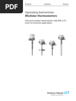 iTHERM ModuLine Thermometer Guide | PDF | Electricity