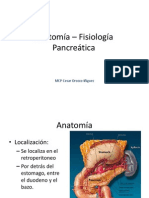 Anatomía - Fisiología Pancreatica
