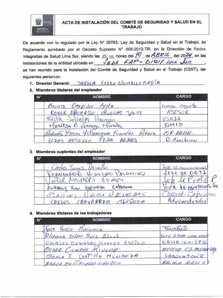 6 Acta de Instalacion Del Comite de Seguridad y Salud en El Trabajo | PDF