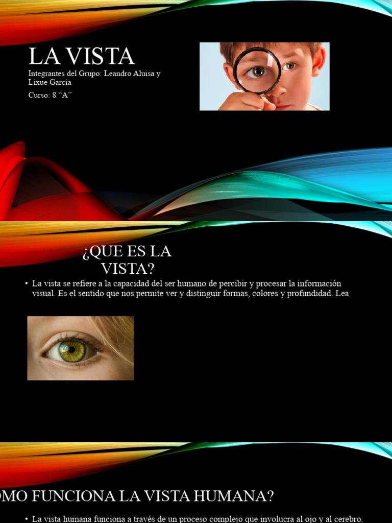 Introducción a la Vista Humana | PDF | Salud y bienestar