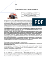 2-Adquisición Del Sistema Alfabético Desde El Enfoque Psicogenético