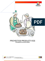 Proyectos_Productivos