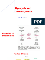 WK 2b Glycolysis and Gluconeogenesis