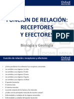 Receptores y Efectores