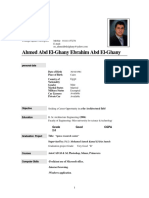 Ahmed Abd Elghany CV