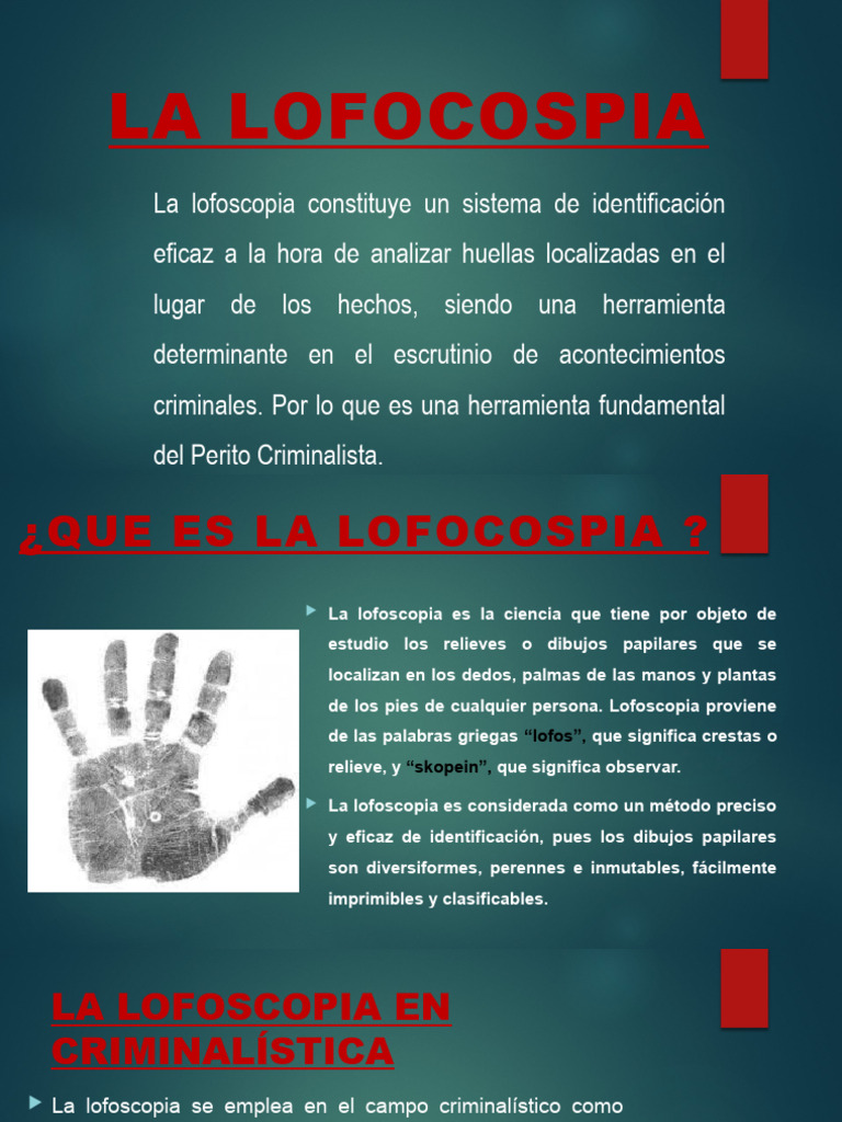 La Lofos | PDF | Huella dactilar | Informática