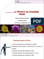 Aula 17. Mecanismos Efetores Da Imunidade Celular