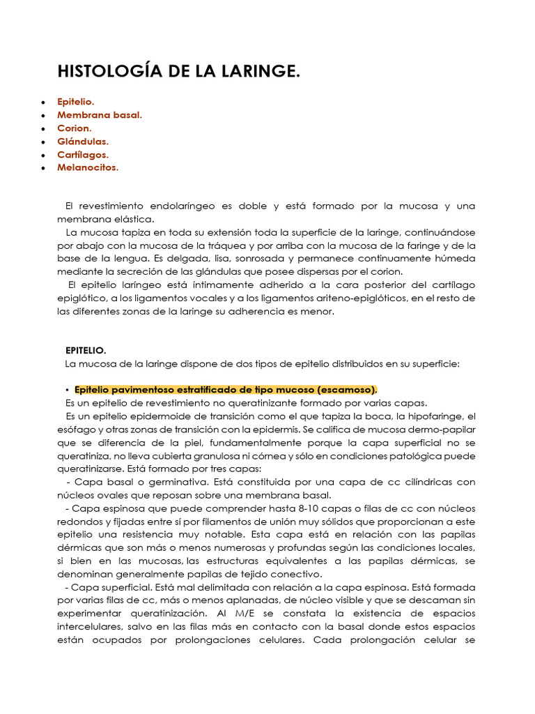 Histologia De La Laringe Descargar Gratis Pdf Epitelio Laringe