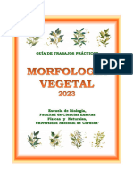 Prácticos de Morfología Vegetal