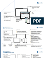 Detalle Soluciones SAP CX