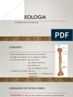 AULA 2 - OSTEOLOGIA PRONTA