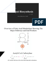 Lipid Biosynthesis