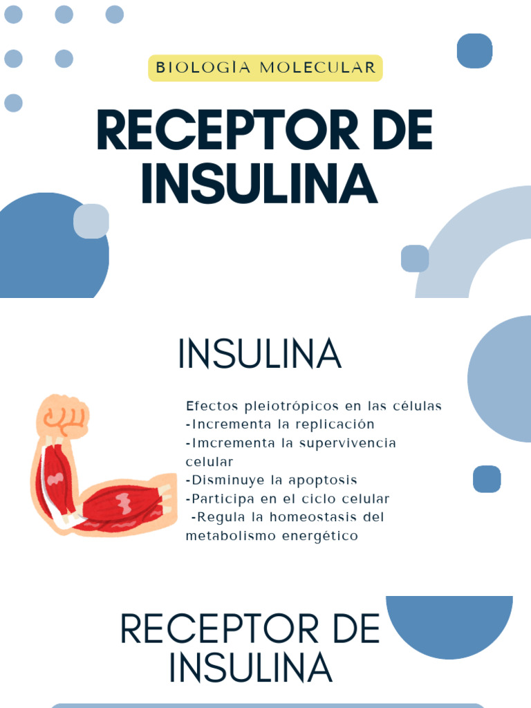 Función y Estructura del Receptor de Insulina | PDF | Quinasa ...