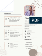 Brown & Cream Abstract Accounting Resume