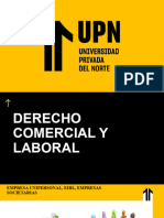 Sesión 5 Empresa Unipersonal, Eirl Empresas Societarias