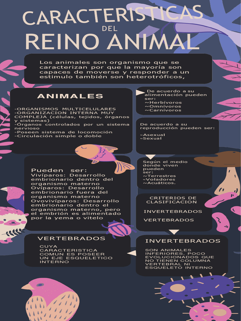 Infografía REINO ANIMAL | Descargar gratis PDF | Vertebrados | Embrión