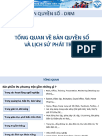 Tong Quan Bản Quyền Số SP ĐPT