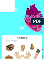 Ma T T 252726 Ks1 Human Body Information Powerpoint Mandarin Chinese Ver 1