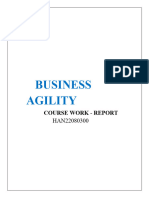 Business Agility- Report