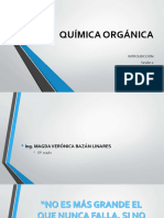 II Sesion Quimica Organica - Copia